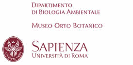 Museo dell'Orto Botanico, Sapienza Roma